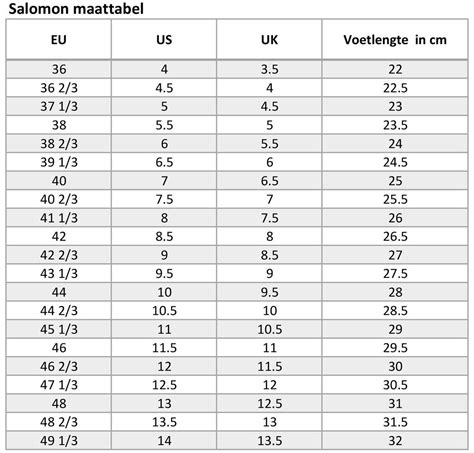 welke maat schoenen.